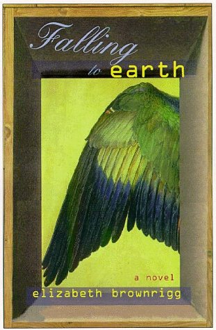 Las primeras 20 horas de descarga de un libro electrónico Falling to Earth