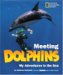 Meeting Dolphins by Kathleen Dudzinski