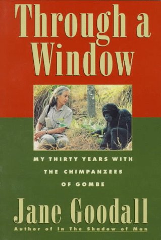 through a window comparison of chimpanzees through a window comparison of chimpanzees