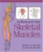 An Illustrated Atlas of the Skeletal Muscles