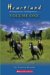 Heartland Omnibus #1: Coming Home / After the Storm / Breaking Free (Heartland, #1-3)