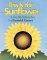 This Is the Sunflower by Lola M. Schaefer
