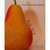 Pear Slip by Matthew Hittinger
