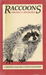 Raccoons: In Folklore, History & Today's Backyards