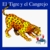 El Tigre Y El Cangrejo/The Tiger And The Crab Cuento De La Tribu Pemon (Coleccion Narraciones Indigenas) by Veronica Uribe