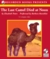 The Last Camel Died at Noon (Amelia Peabody, #6) by Elizabeth Peters