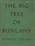 The Big Tree Of Bunlahy Stories Of My Own Countryside by Padraic Colum