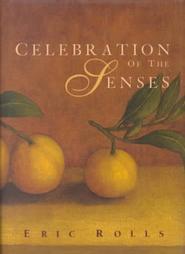 celebration-of-the-senses