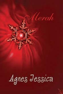 Novel Karya Agnes Jessica Pdf