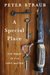 A Special Place The Heart of a Dark Matter by Peter Straub