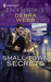 Small-Town Secrets (Colby Agency, #32) by Debra Webb