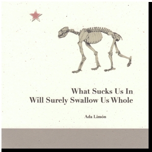 what-sucks-us-in-will-surely-swallow-us-whole-notes-from-the-window