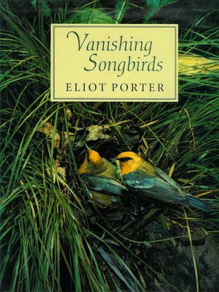 vanishing-songbirds-the-sixth-order-wood-warblers-and-other-passerine-birds
