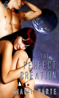 the-perfect-creation