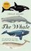 The Whale In Search of the Giants of the Sea by Philip Hoare