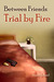 Trial by Fire (Between Friends, #4) by Sean Michael