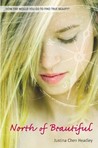 North of Beautiful cover