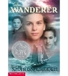 The Wanderer cover