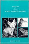 Wildlife of the North American Deserts