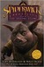The Seeing Stone (The Spiderwick Chronicles, #2) by Holly Black