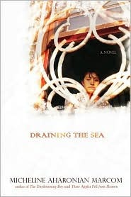 draining-the-sea
