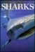 Sharks by John Stevens
