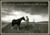 People Of The Great Plains by Peter Miller