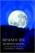 Beneath the Morvan Moon by Courtney Lynn Mroch