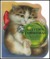 Kitten's Christmas: Animal Shape Book