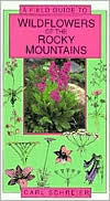 a-field-guide-to-wildflowers-of-the-rocky-mountains