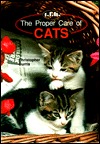 the-proper-care-of-cats