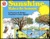 Sunshine Makes the Seasons