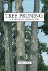tree-pruning-a-worldwide-photo-guide
