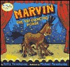 marvin-the-tap-dancing-horse