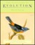 The Discovery of Evolution