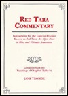 red-tara-commentary-instructions-for-the-concise-practice-known-as-red-tara-an-open-door-to-bliss-and-ultimate-awareness