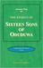 Sixteen Sons of Oduduwa by Festus Wale Ogunbitan