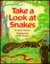 Take a Look at Snakes