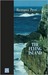 The Flying Island by Romana Petri