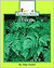 Ferns by Allan Fowler