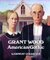 American Gothic (Lets Get Lost in a Painting Ser) by Ernest Goldstein