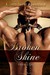 Broken Shine (Moonlight and Shadows, #3)