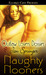 Outlaw Lovers Dossier (Naughty Nooners) by Jan Springer