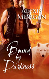Bound by Darkness (Paladins of Darkness, #7)