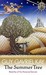 The Summer Tree by Guy Gavriel Kay