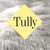 Tully by Paullina Simons