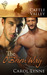 The O'Brien Way (Cattle Valley, #21) by Carol Lynne