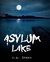 Asylum Lake by R.A. Evans