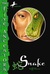 Snake (Five Ancestors, #3) by Jeff Stone