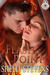 Flash Point (Holding Out For a Hero, #3) by Shelli Stevens